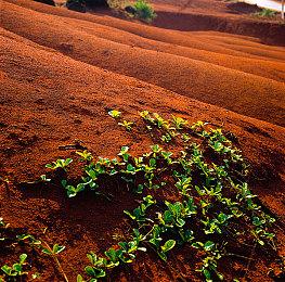 DRPG《Core Crossing》登陆steam 全妹子冒险队伍